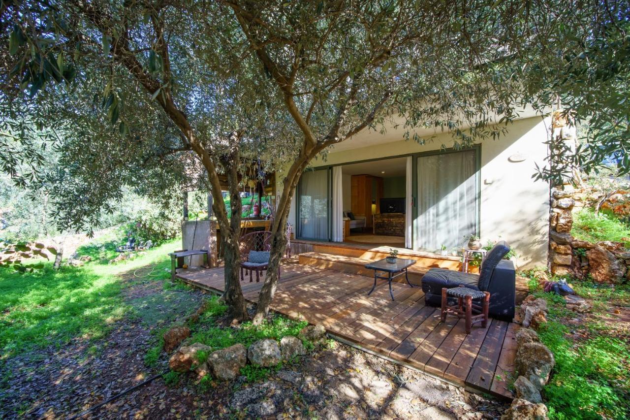 Roof Of The Galilee Villa Amirim Bagian luar foto